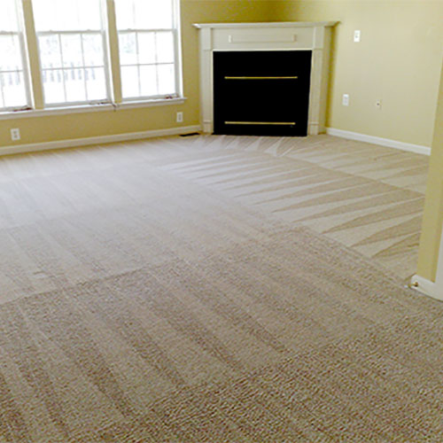 carpet cleaning